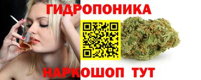 гашишное масло Берёзовский
