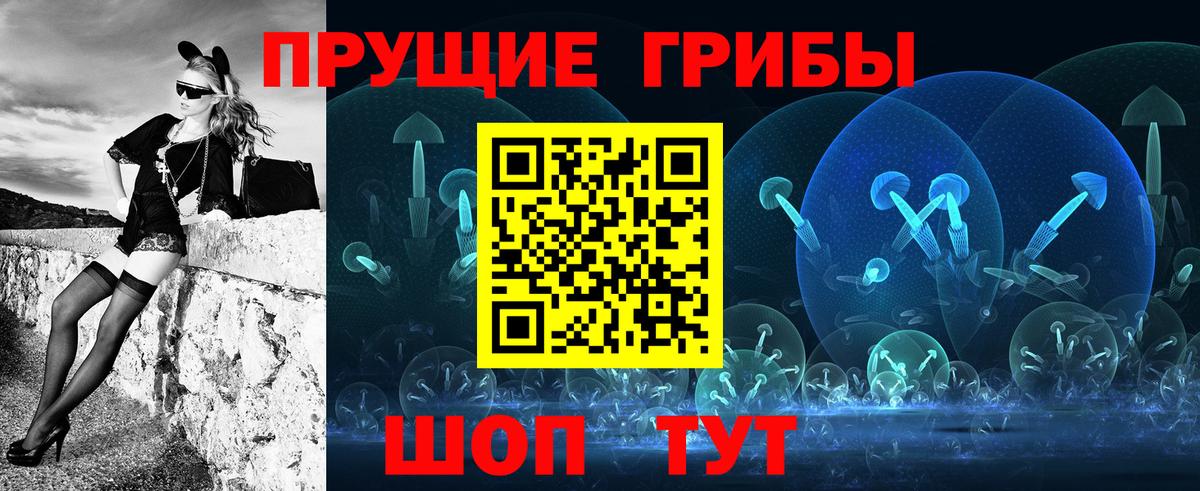 Зеленодольск  даркнет сайт  Псилоцибиновые грибы прущие грибы  Вход с VPN  Галлюциногенные грибы Psilocybine cubensis 